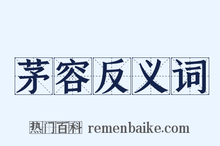 茅容反义词是什么意思的图片